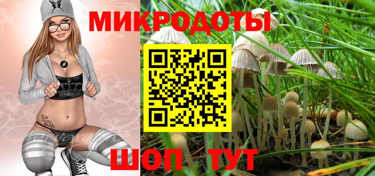 Красноармейск  Псилоцибиновые грибы мухоморы  Вход с VPN 